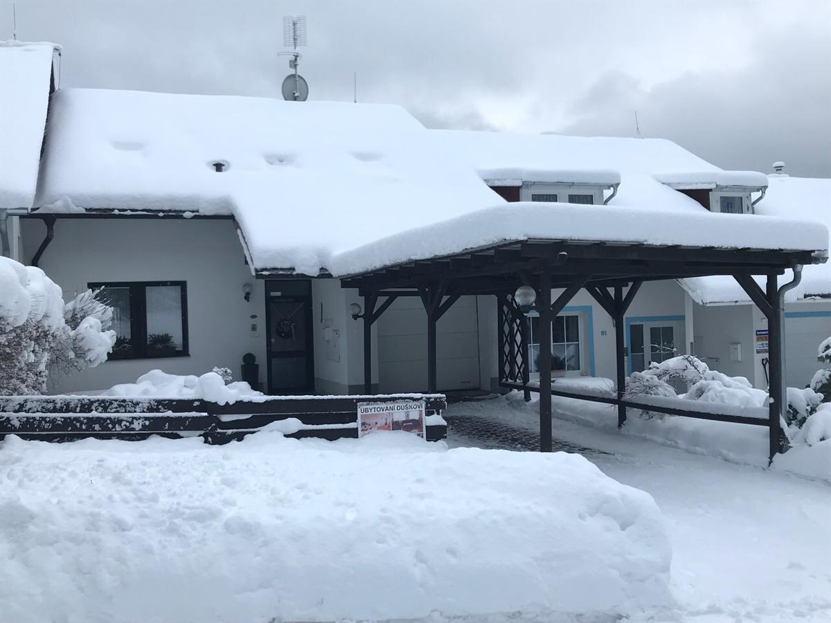 Villa Ubytovani Duskovi Lipno nad Vltavou Exterior foto
